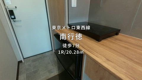 動画