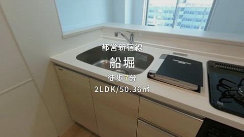 動画