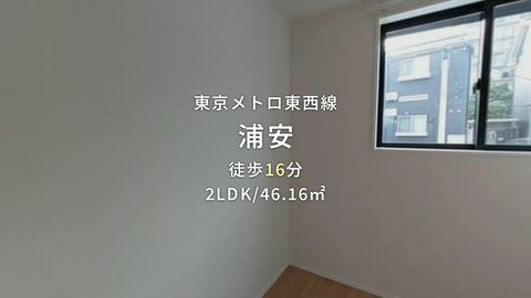動画