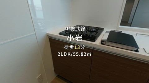 動画