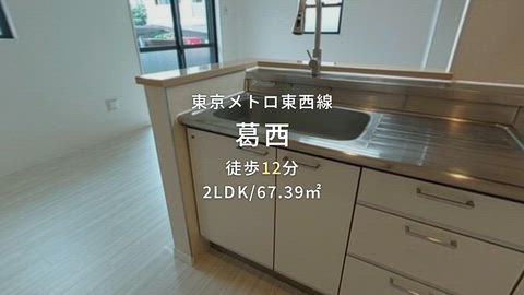 動画