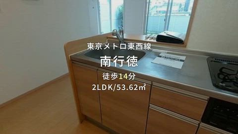 動画