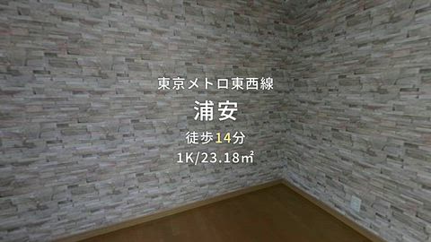動画