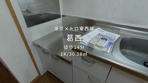 動画