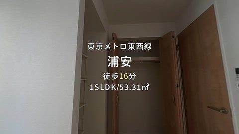 動画
