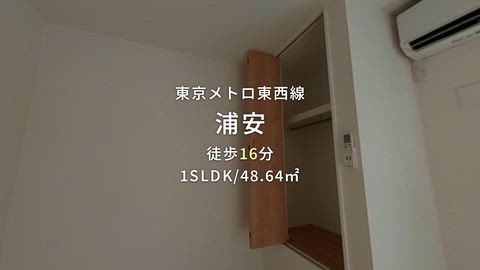 動画