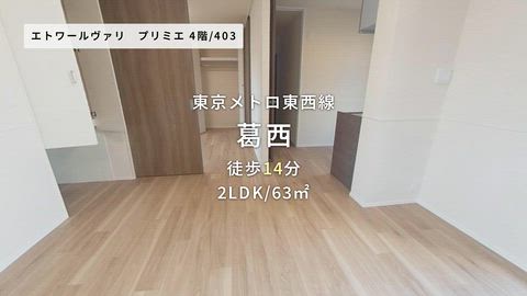 動画