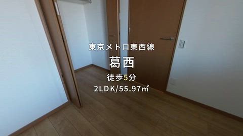 動画