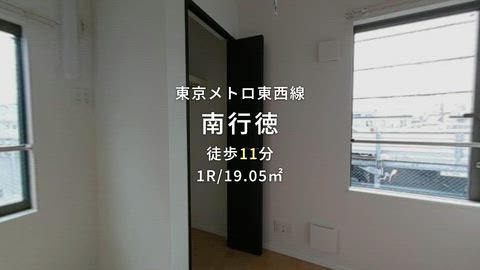 動画
