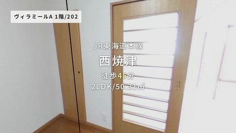 紹介ムービー