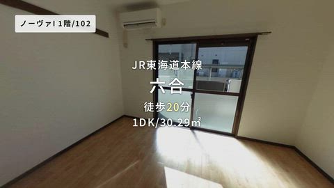 動画