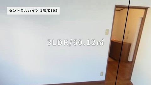 紹介ムービー