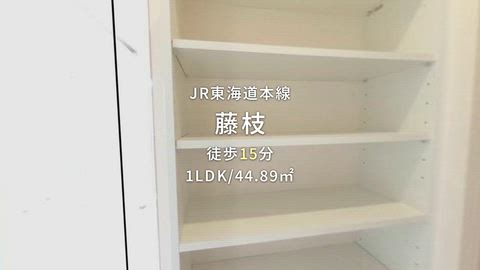 動画