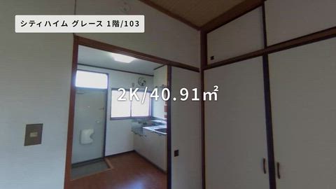 動画