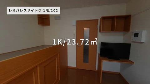 動画