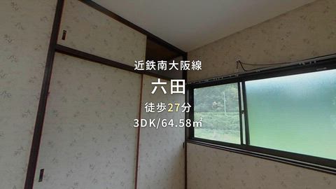 動画