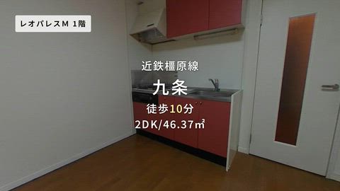 紹介ムービー