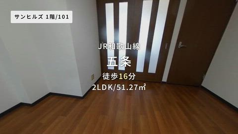 動画