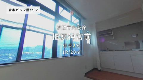 動画