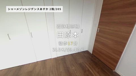 動画