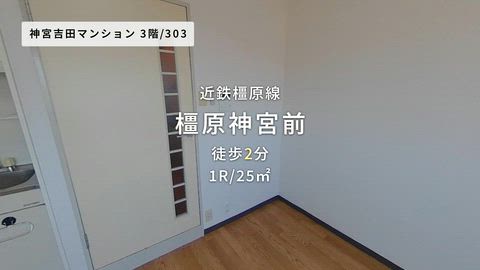 動画