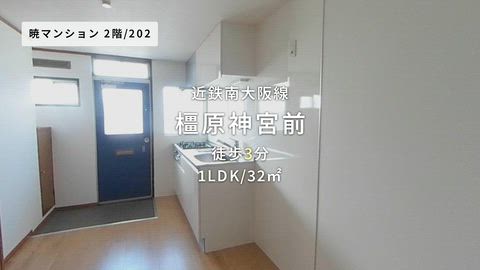 動画