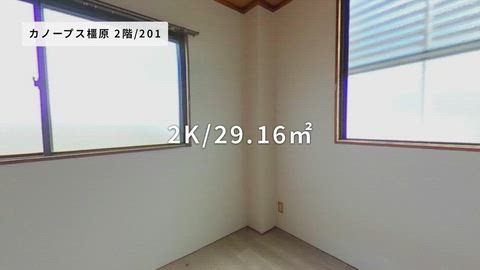 紹介ムービー