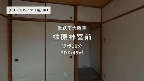動画