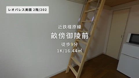 動画
