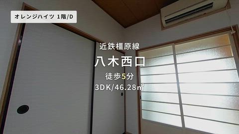 動画