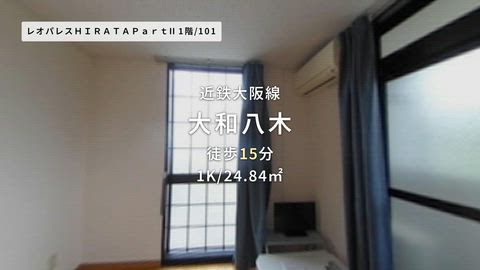 動画