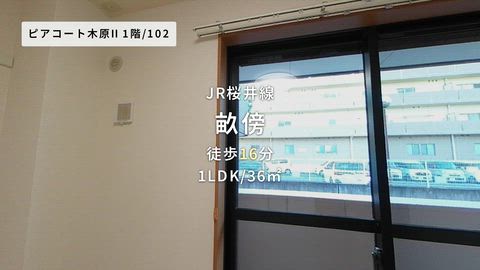 動画