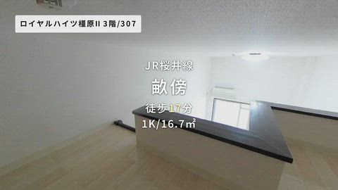 動画