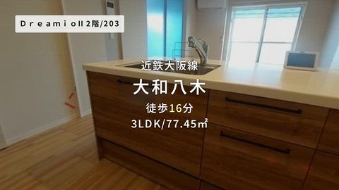 動画