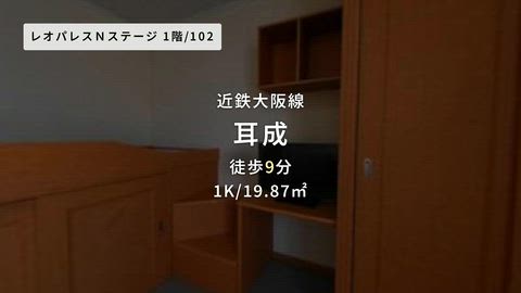動画