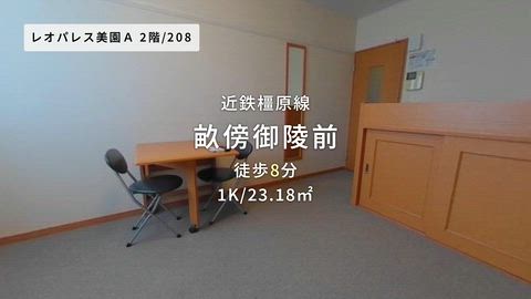 動画