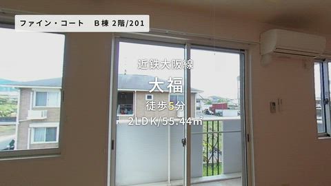 動画