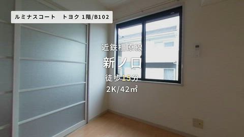 動画