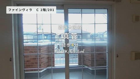 動画