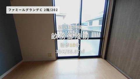 動画