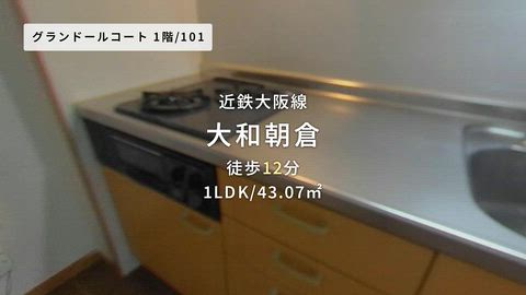 動画
