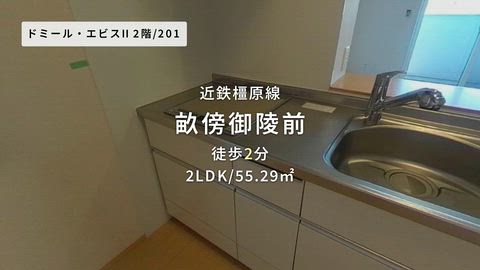 動画