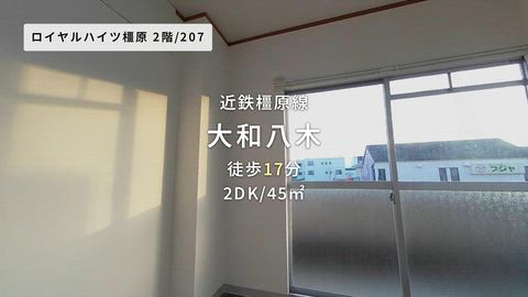 動画
