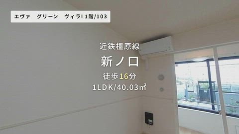 動画