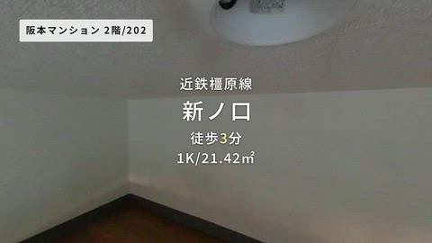 動画