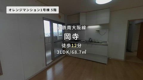 動画
