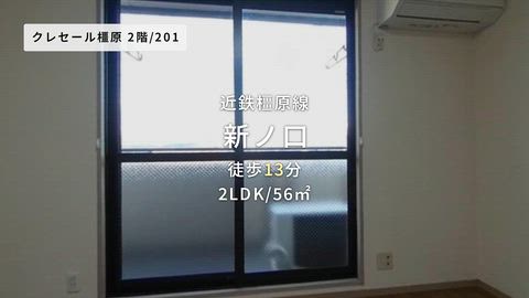 動画
