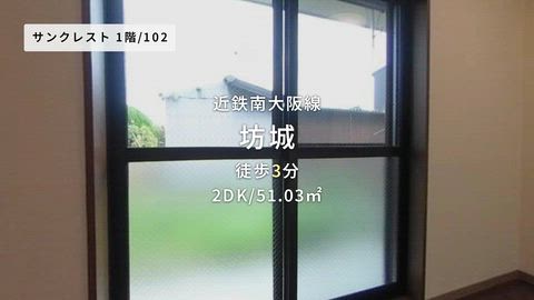 動画