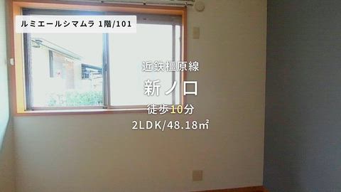 動画