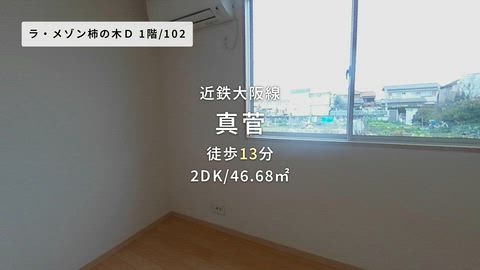 動画